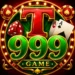 T999 game